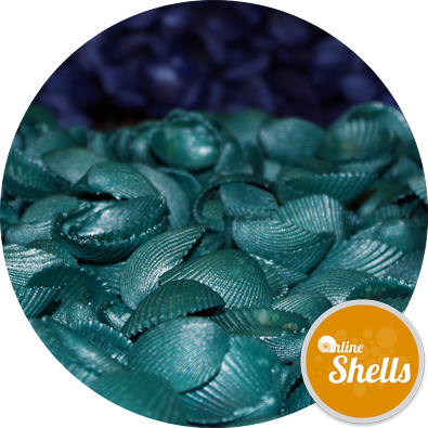 Coloured - Sportswear (395x395), Png Download