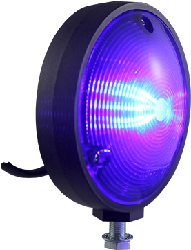Apn - Light (591x415), Png Download