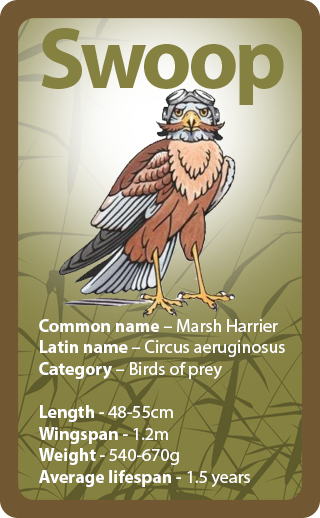 More About Marsh Harriers - Squadron Leader (320x518), Png Download