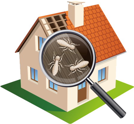 Termite Inspection Services Brickers Lansdale Pa 2 - Termite Inspection (472x467), Png Download