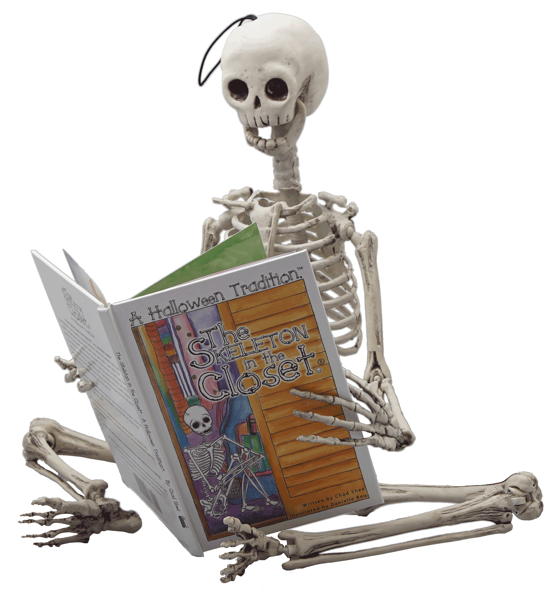 3 Foot Pose-able Skeleton Doll - Skeleton In The Closet - A Halloween Tradition (1931x2072), Png Download