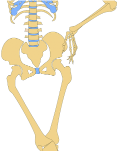 Daily Funny 3/27/16 - Skeleton With Hands On Hips (475x300), Png Download