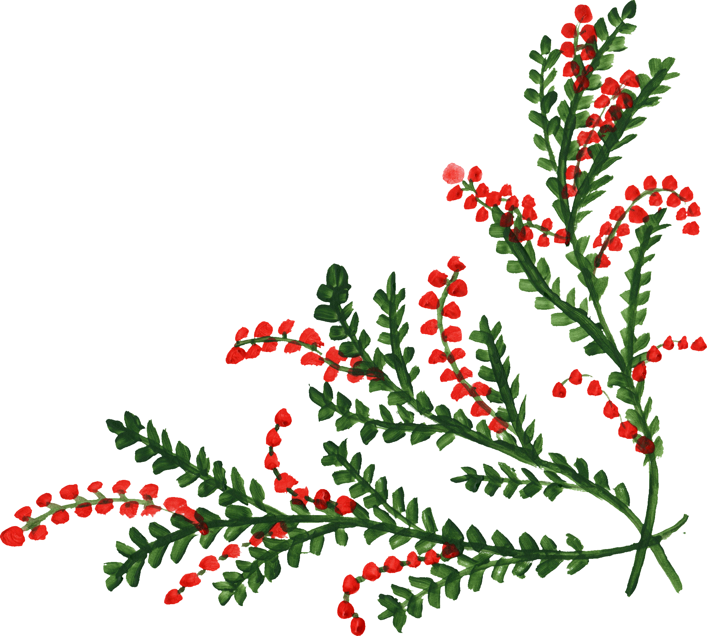 9 Flower Corner - Floral Corner Frame Png (2312x2078), Png Download