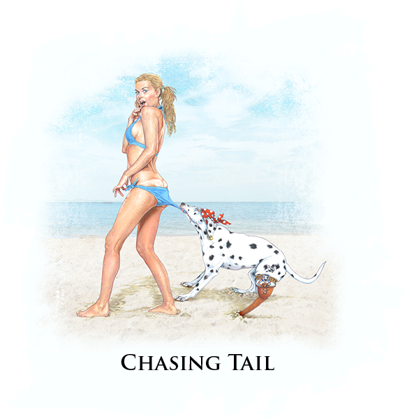 Upf 30 Long Sleeve Shirt - Sleeve (600x600), Png Download