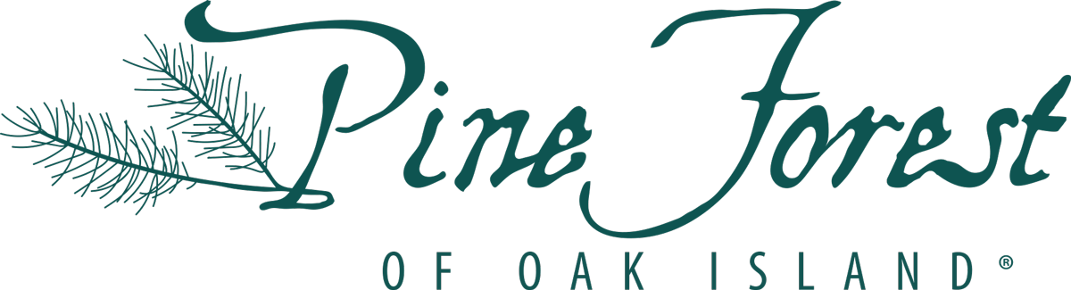 Pine Forest Of Oak Island - Moral Rhetoric Of American Presidents (1200x325), Png Download