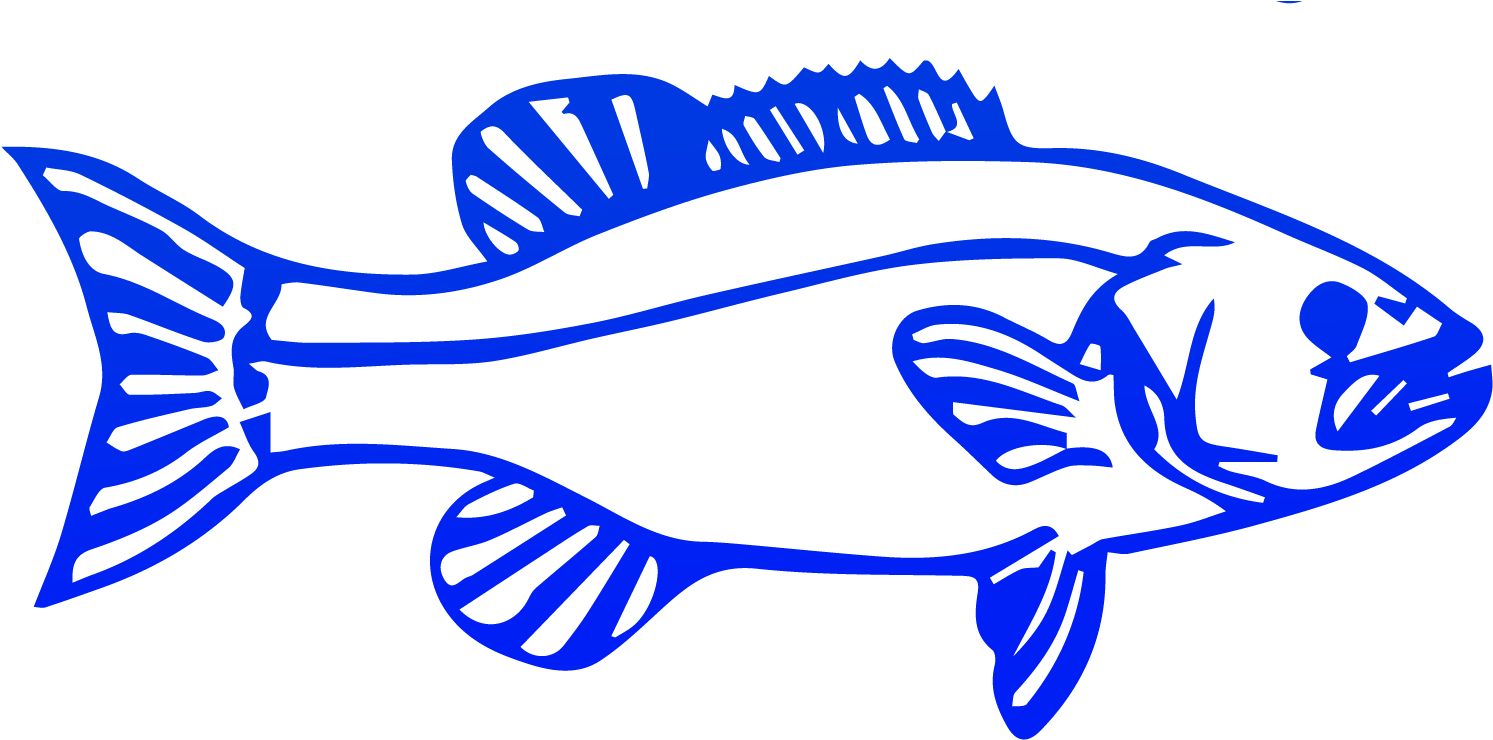 Fish, Download Png - Election (1600x782), Png Download