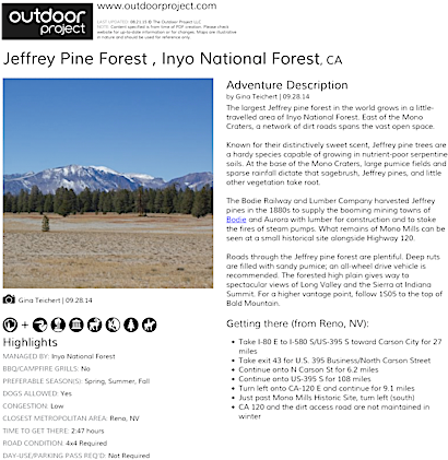 Jeffrey Pine Forest Field Guide - Washoe Lake State Park Campground Carson City Nevada (464x600), Png Download