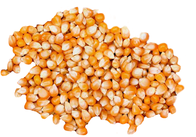 Cracked Maize - Corn Popcorn (900x600), Png Download