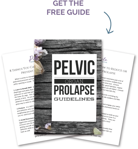 Pelvic Organ Prolapse Guide - Postpartum Period (500x500), Png Download