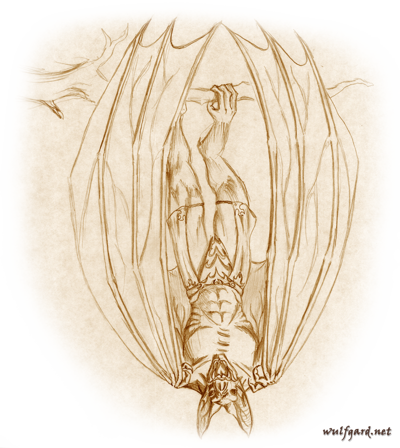 Vampire Beastman - Circle (800x896), Png Download