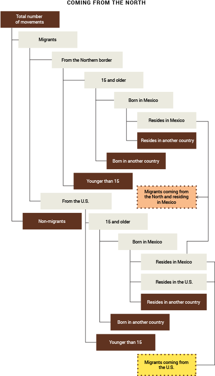 Survey Of Migration At Mexico´s Southern Border - Diagram (493x787), Png Download
