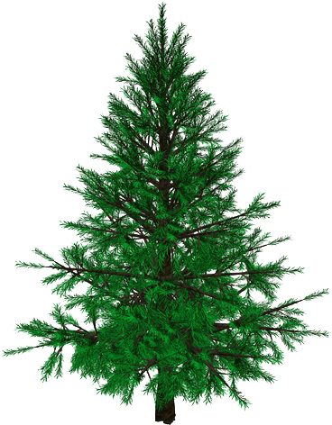 Xmastree - Christmas Tree (700x480), Png Download