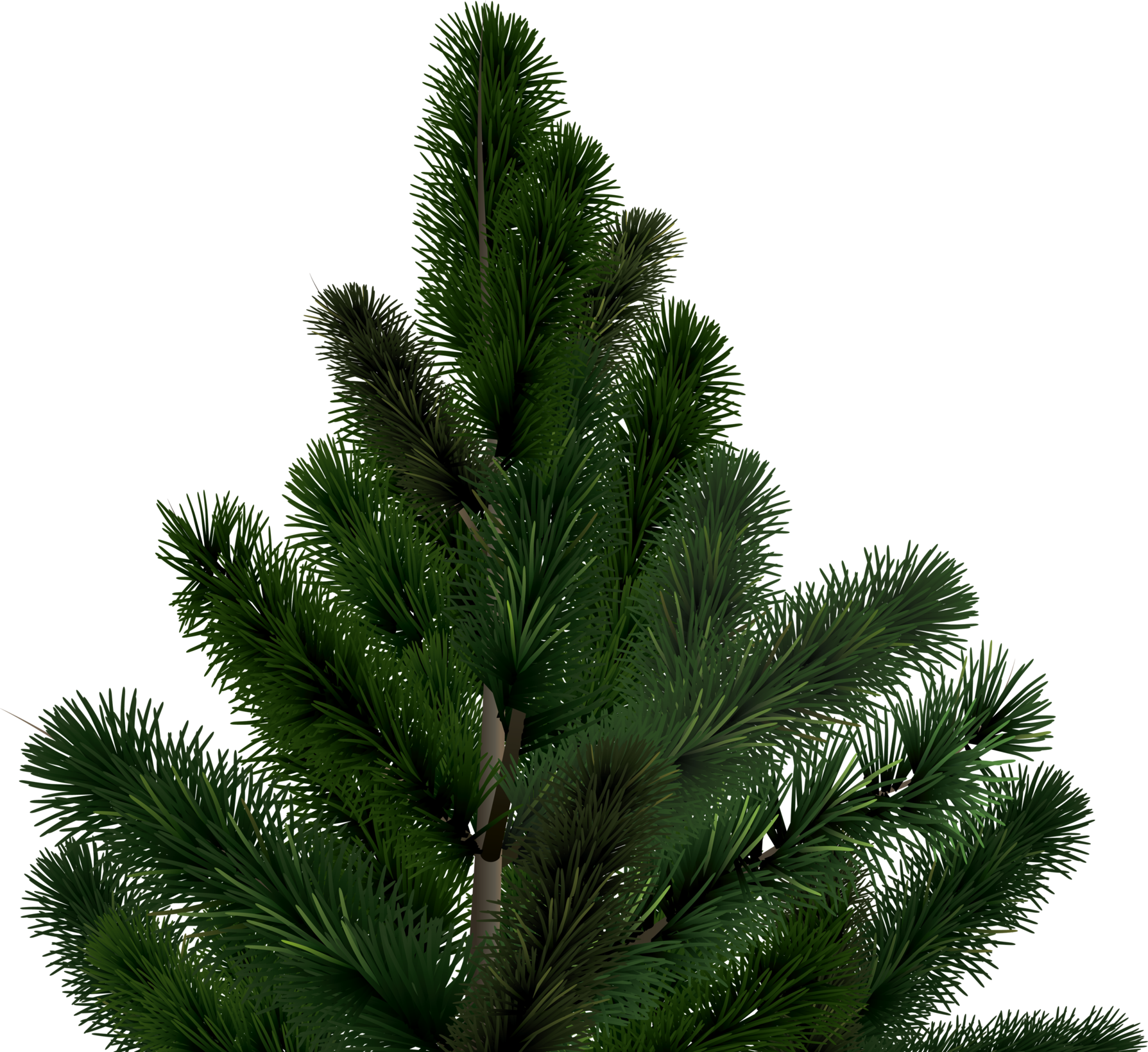 Christmas Tree (1789x1640), Png Download
