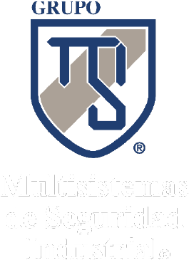 Multisistemas Guardias De Seguridad,empresa De Seguridad - Multisistemas De Seguridad Industrial (338x510), Png Download