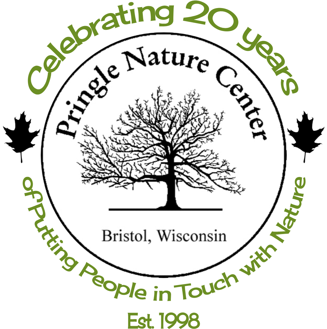 Bristol Woods Trail Run (1117x1059), Png Download