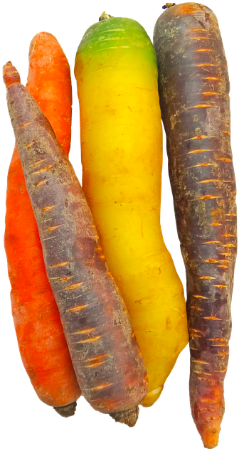 Carrots, Rainbow, Food, Vegetable, Colorful, Png - Rainbow Carrots (462x720), Png Download