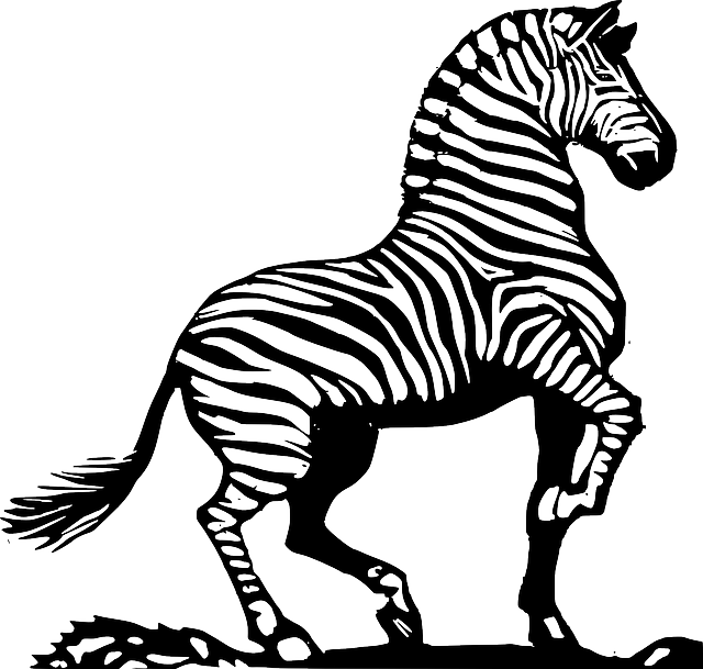 Sketch, Silhouette, Face, Cartoon, Cute, Wood, Zebra - Zebra In Black And White (640x609), Png Download