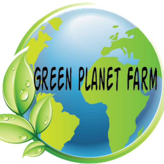 Photo - Green (530x530), Png Download