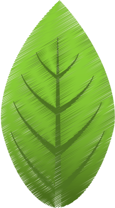 Drawing Green Leaves Natural - Drawing (550x550), Png Download
