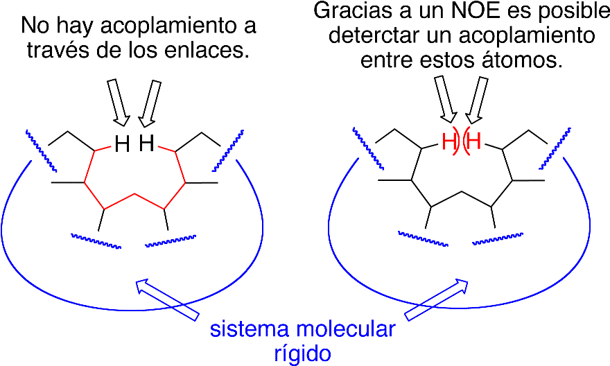 Overhauser, Efecto Nuclear De - Efecto Nuclear Overhauser (894x544), Png Download