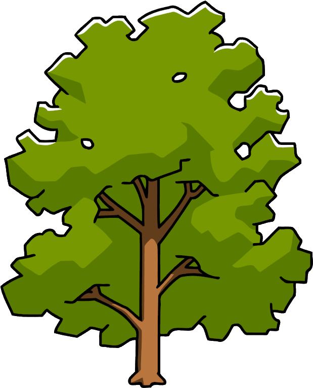 Sycamore Png - Oak (625x768), Png Download