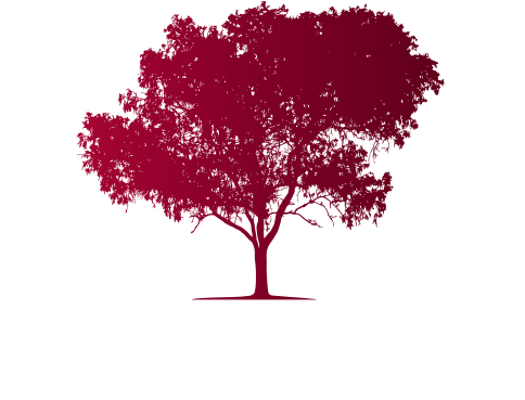 Sycamore Square - Australian Gum Tree Silhouette (505x401), Png Download