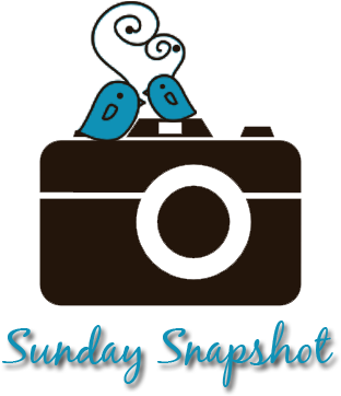 Camera Icon Png Free (432x432), Png Download