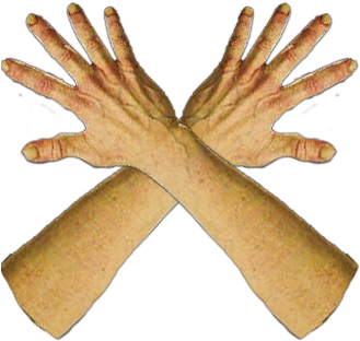Oversized Silicone Sleeves - Wood (331x373), Png Download