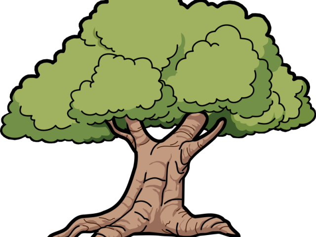 Tree Clipart Clipart Sycamore Tree - Oak Clipart (640x480), Png Download