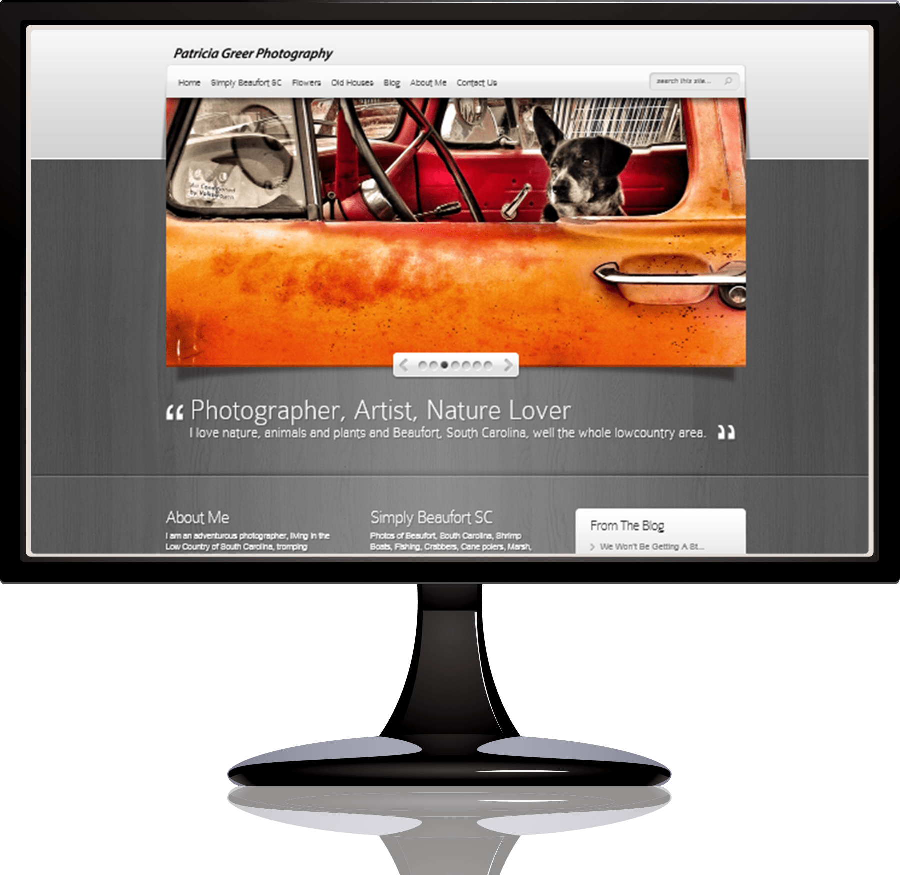 Download Patriciamonitor Computer Monitor Full Size PNG Image PNGkit