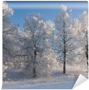 Grove (400x400), Png Download