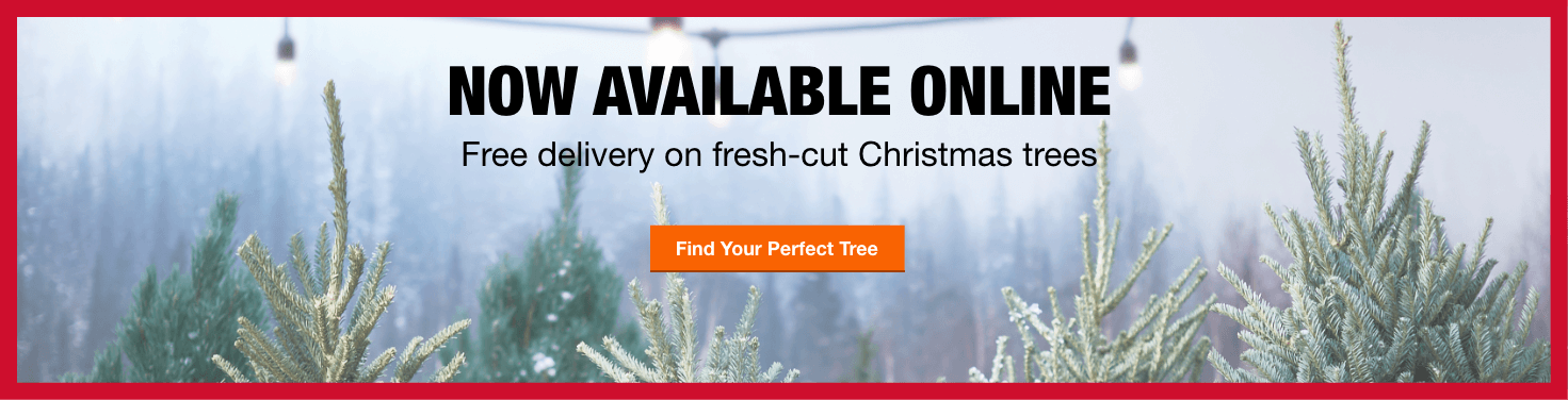 Fresh-cut Christmas Trees - Tree (1471x376), Png Download