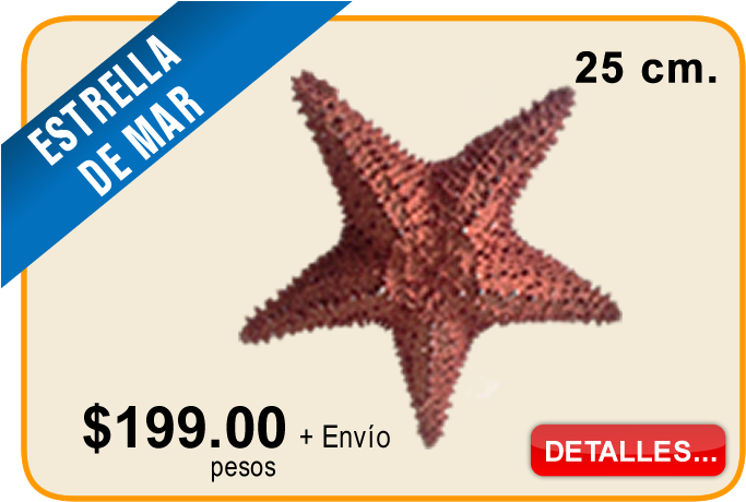 Estrella De Mar - Siyam Symbol (700x472), Png Download