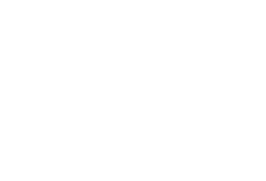 Logo - Diamond Black Logo (870x592), Png Download