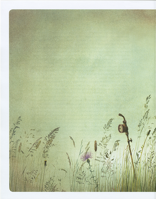 Alice Illustrated Around The World - Grass (650x645), Png Download