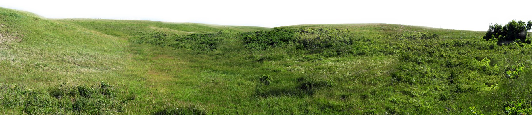 Play - Grassland (1851x400), Png Download