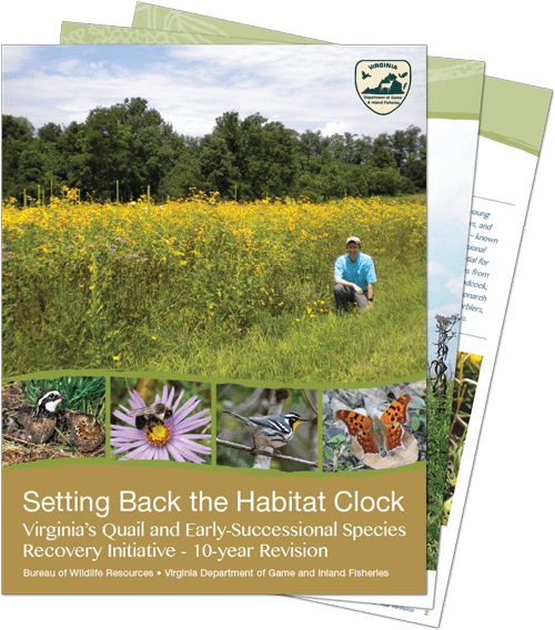 Virginia, Setting Back The Habitat Clock - Gaining Early Awareness And Readiness For Undergraduate (500x568), Png Download