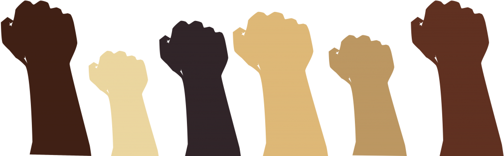 History (1024x412), Png Download