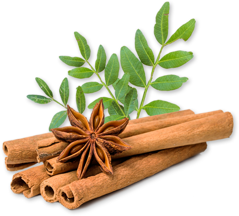 Cinnamon (480x434), Png Download