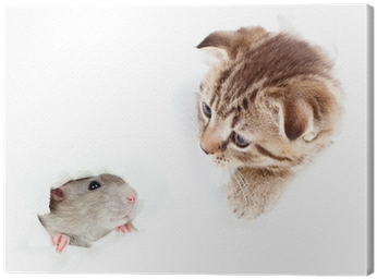 Kitten And Domestic Rat Looking Out Hole In Torn Paper - Rat (400x400), Png Download