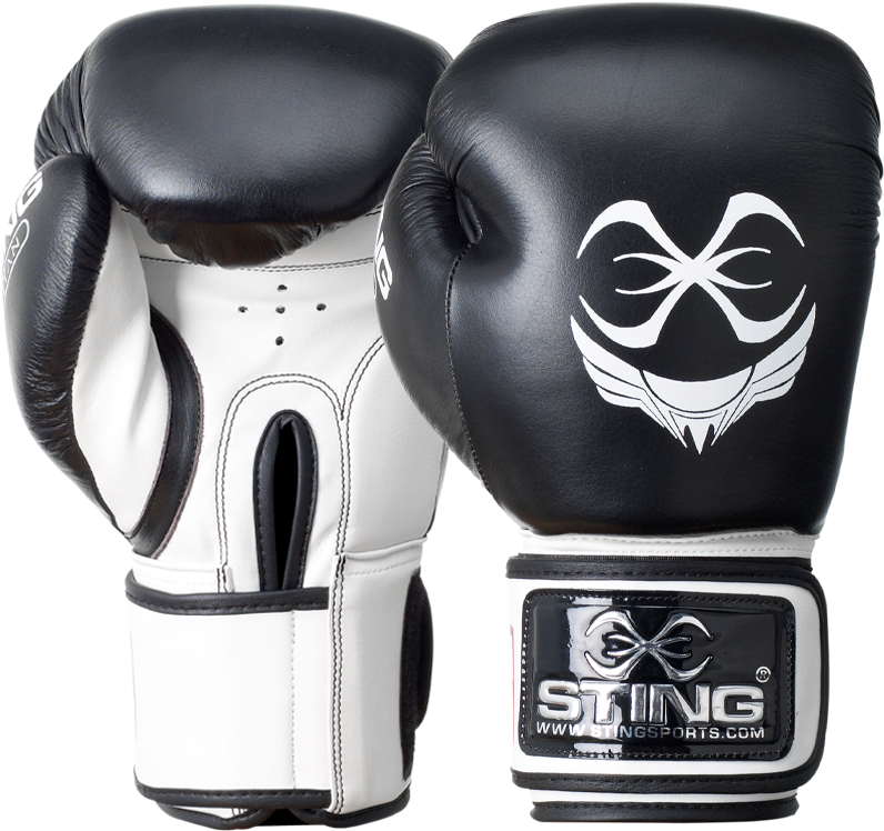 Download Titan Leather Boxing Gloves Sting Titan Leather Boxing