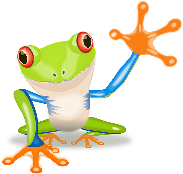 Costa Rica Frog Clip Art (640x607), Png Download