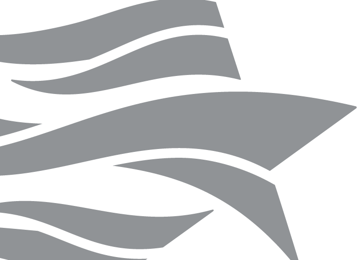 Communities Foundation Of Texas - Communities Foundation Of Texas, Inc. (737x534), Png Download