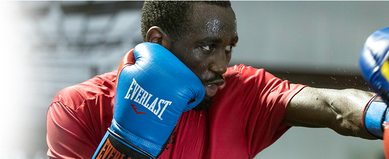 Gloves - Everlast Protex 2 Evergel Training Gloves (1240x323), Png Download