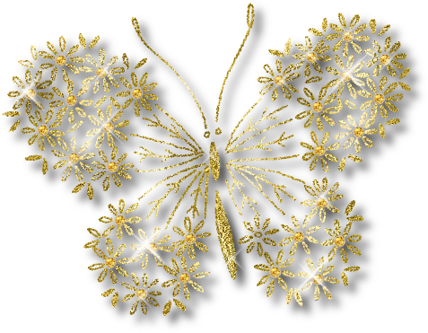 Mariposa En Encaje Y Perlas - Fennel Flower (477x371), Png Download