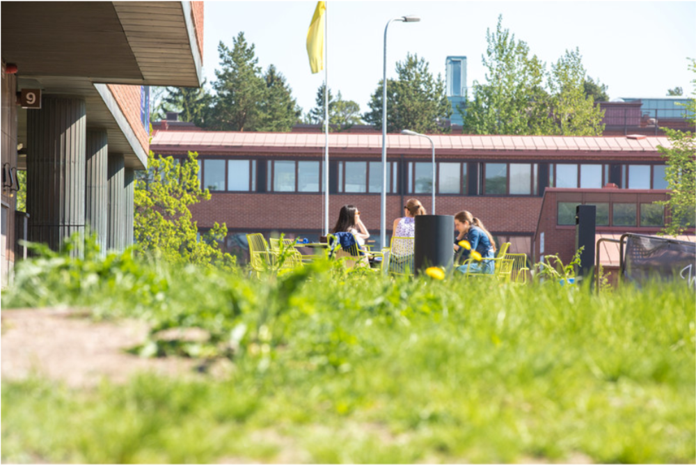 Crystal Flowers In Halls Of Mirrors Course - Human (1380x696), Png Download