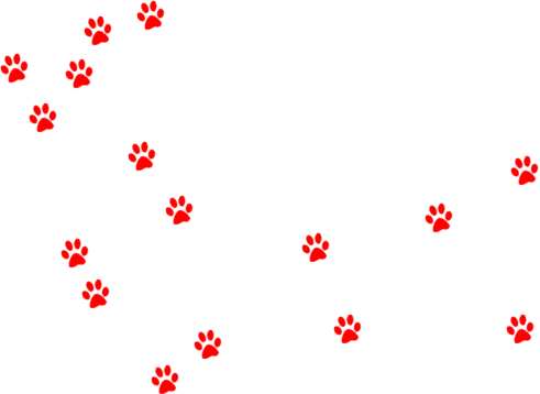 Huellas De Cachorros Png (491x358), Png Download