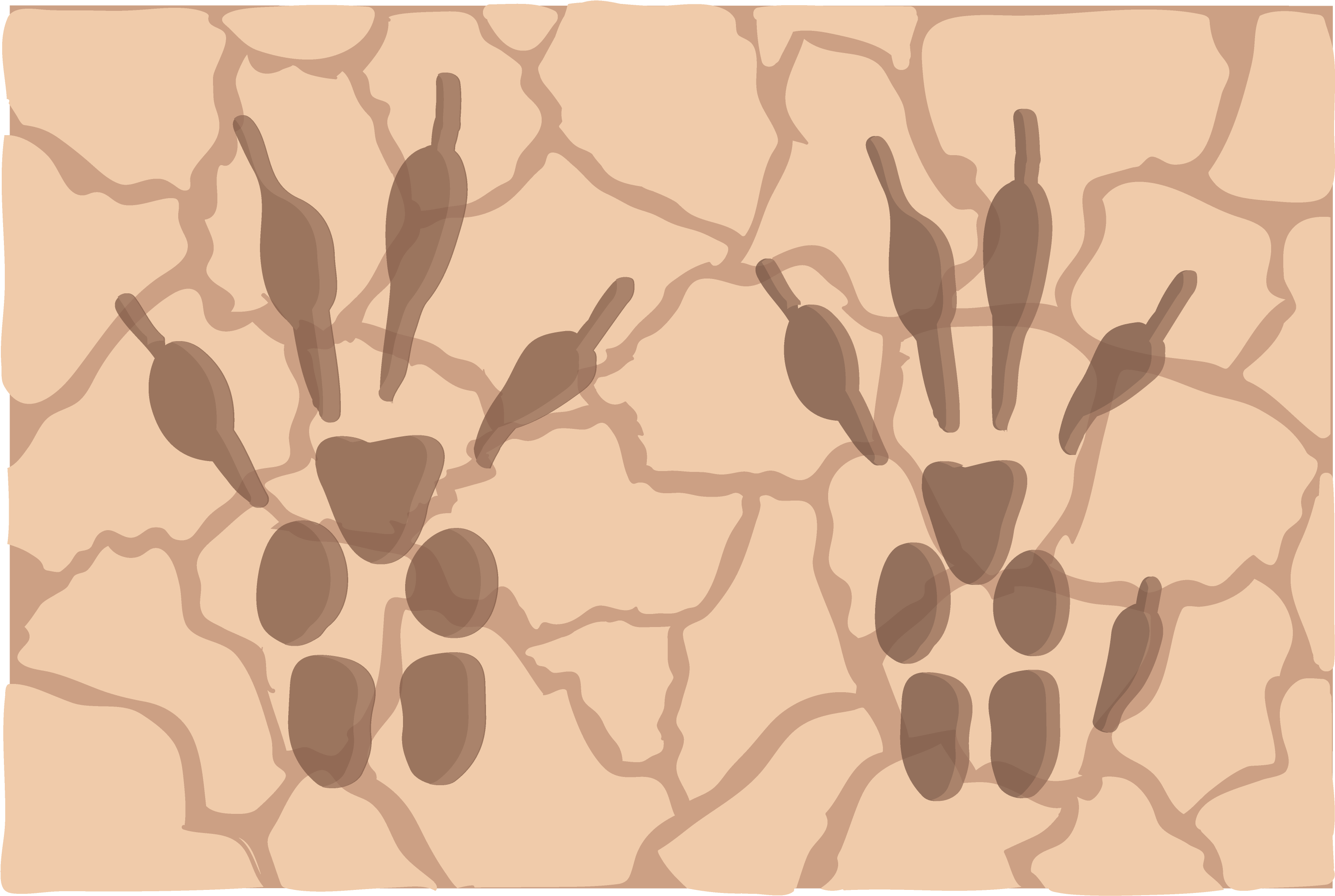 Ardilla De Fuerteventura - Fuerteventura (3508x2480), Png Download