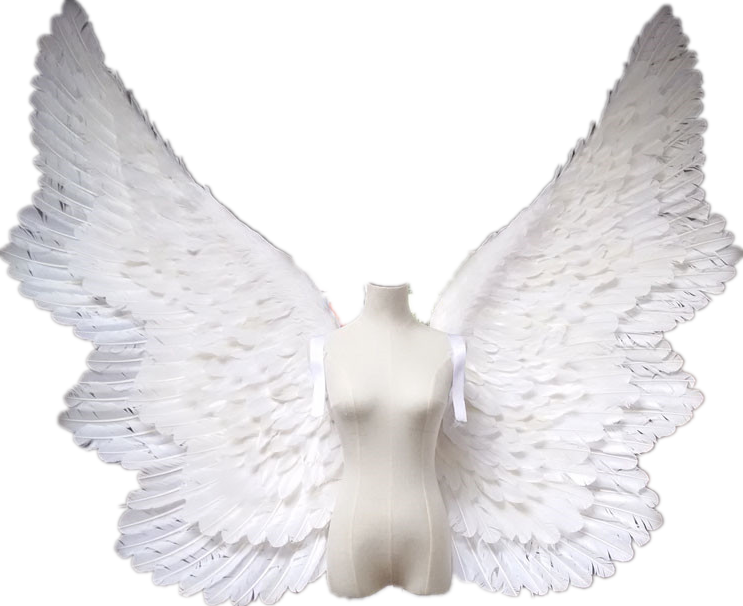 Handmade Adulto Asas De Fada Para Festas Temáticas - Big Angel Wings (743x606), Png Download