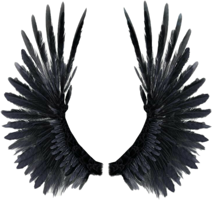 Realistic Wings (726x686), Png Download